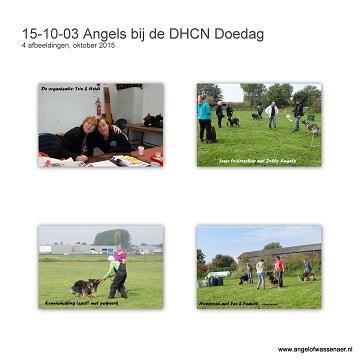 Een aantal Angels bij de DHCN doedag, waaronder mama Fee en haar 4 Jolly Angels: Zorro, Jara, Ziva & Jamai